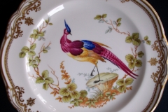 SPODE CHELSEA BIRD Y8555- SALAD PLATE ..... https://www.jaapiesfinechinastore.com