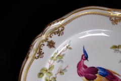 SPODE CHELSEA BIRD Y8555- SALAD PLATE ..... https://www.jaapiesfinechinastore.com