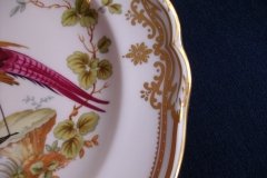 SPODE CHELSEA BIRD Y8555- SALAD PLATE ..... http://jaapiesfinechinastore.com