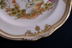 SPODE CHELSEA BIRD Y8555- SALAD PLATE ..... http://jaapiesfinechinastore.com