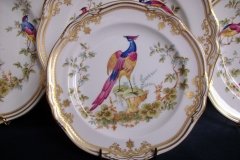 SPODE CHELSEA BIRD Y8555- SALAD PLATE ..... http://jaapiesfinechinastore.com