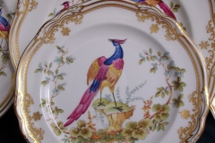 SPODE CHELSEA BIRD Y8555- SALAD PLATE ..... https://www.jaapiesfinechinastore.com