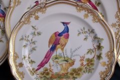 SPODE CHELSEA BIRD Y8555- SALAD PLATE ..... http://jaapiesfinechinastore.com