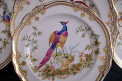 SPODE CHELSEA BIRD Y8555- SALAD PLATE ..... https://www.jaapiesfinechinastore.com