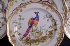 SPODE CHELSEA BIRD Y8555- SALAD PLATE ..... http://jaapiesfinechinastore.com