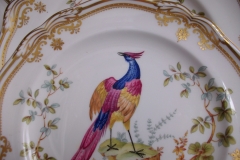 SPODE CHELSEA BIRD Y8555- SALAD PLATE ..... https://www.jaapiesfinechinastore.com