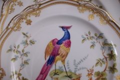 SPODE CHELSEA BIRD Y8555- SALAD PLATE ..... http://jaapiesfinechinastore.com