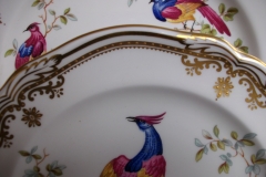 SPODE CHELSEA BIRD Y8555- SALAD PLATE ..... https://www.jaapiesfinechinastore.com