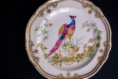 SPODE CHELSEA BIRD Y8555- SALAD PLATE ..... https://www.jaapiesfinechinastore.com