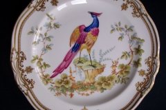 SPODE CHELSEA BIRD Y8555- SALAD PLATE ..... http://jaapiesfinechinastore.com