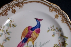 SPODE CHELSEA BIRD Y8555- SALAD PLATE ..... https://www.jaapiesfinechinastore.com