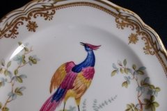SPODE CHELSEA BIRD Y8555- SALAD PLATE ..... http://jaapiesfinechinastore.com
