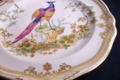 SPODE CHELSEA BIRD Y8555- SALAD PLATE ..... http://jaapiesfinechinastore.com