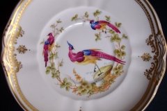 SPODE CHELSEA BIRD Y8555-  SOUP BOWL & SAUCER   .....   http://jaapiesfinechinastore.com