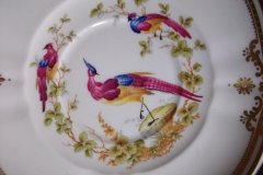 SPODE CHELSEA BIRD Y8555-  SOUP BOWL & SAUCER   .....   http://jaapiesfinechinastore.com