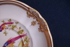 SPODE CHELSEA BIRD Y8555-  SOUP BOWL & SAUCER   .....   https://www.jaapiesfinechinastore.com