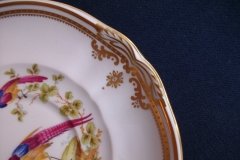 SPODE CHELSEA BIRD Y8555-  SOUP BOWL & SAUCER   .....   http://jaapiesfinechinastore.com