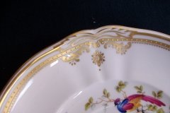 SPODE CHELSEA BIRD Y8555-  SOUP BOWL & SAUCER   .....   http://jaapiesfinechinastore.com