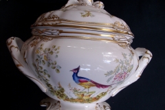 SPODE CHELSEA BIRD Y8555-  SOUP TUREEN & COVER  .....   https://www.jaapiesfinechinastore.com