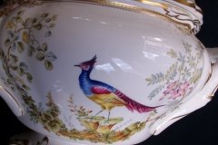 SPODE CHELSEA BIRD Y8555-  SOUP TUREEN & COVER  .....   http://jaapiesfinechinastore.com