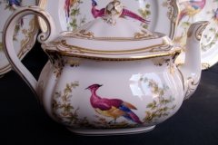 SPODE CHELSEA BIRD Y8555-  TEA POT  .....   http://jaapiesfinechinastore.com