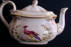 SPODE CHELSEA BIRD Y8555-  TEA POT  .....   https://www.jaapiesfinechinastore.com