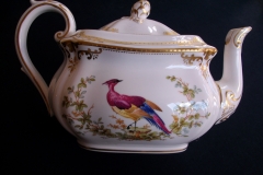 SPODE CHELSEA BIRD Y8555-  TEA POT  .....   https://www.jaapiesfinechinastore.com