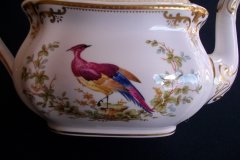 SPODE CHELSEA BIRD Y8555-  TEA POT  .....   http://jaapiesfinechinastore.com
