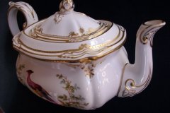 SPODE CHELSEA BIRD Y8555-  TEA POT  .....   http://jaapiesfinechinastore.com