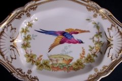 SPODE CHELSEA BIRD Y8555-   RELISH DISH/ UNDERPLATE  .....   http://jaapiesfinechinastore.com