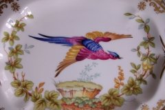 SPODE CHELSEA BIRD Y8555-   RELISH DISH/ UNDERPLATE  .....   http://jaapiesfinechinastore.com