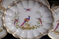 SPODE CHELSEA BIRD Y8555-   OVAL SERVING DISH  .....   http://jaapiesfinechinastore.com
