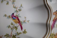 SPODE CHELSEA BIRD Y8555-   OVAL SERVING DISH  .....   http://jaapiesfinechinastore.com