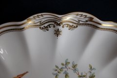 SPODE CHELSEA BIRD Y8555-   OVAL SERVING DISH  .....   http://jaapiesfinechinastore.com