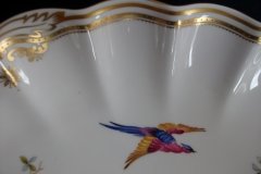 SPODE CHELSEA BIRD Y8555-   OVAL SERVING DISH  .....   http://jaapiesfinechinastore.com