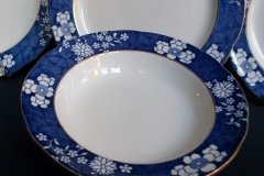 SPODE CRACKED ICE & PRUNUS #6669-  RIM SOUP PLATES  9"  ..... http://jaapiesfinechinastore.com