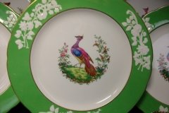SPODE CHELSEA  BIRD GREEN R4689 SCALLOPED- DINNER PLATE  #6   .....         http://jaapiesfinechinastore.com