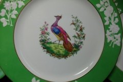 SPODE CHELSEA  BIRD GREEN R4689 SCALLOPED- DINNER PLATE  #6   .....         http://jaapiesfinechinastore.com