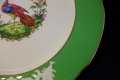 SPODE CHELSEA  BIRD GREEN R4689 SCALLOPED- DINNER PLATE  #6   .....         http://jaapiesfinechinastore.com