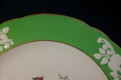 SPODE CHELSEA  BIRD GREEN R4689 SCALLOPED- DINNER PLATE  #6   .....         https://www.jaapiesfinechinastore.com