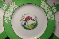 SPODE CHELSEA  BIRD GREEN R4689 SCALLOPED- DINNER PLATE  #8   .....         https://www.jaapiesfinechinastore.com