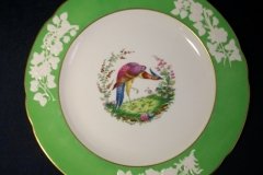 SPODE CHELSEA  BIRD GREEN R4689 SCALLOPED- DINNER PLATE  #8   .....         http://jaapiesfinechinastore.com