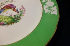 SPODE CHELSEA  BIRD GREEN R4689 SCALLOPED- DINNER PLATE  #8   .....         http://jaapiesfinechinastore.com