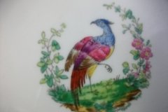 SPODE CHELSEA  BIRD GREEN SMOOTH- BREAD & BUTTER PLATE  #4  .....         http://jaapiesfinechinastore.com