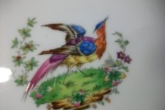 SPODE CHELSEA  BIRD GREEN SMOOTH- BREAD & BUTTER PLATE  # 5 .....         http://jaapiesfinechinastore.com