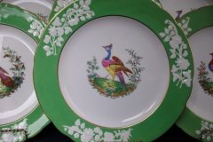 SPODE CHELSEA  BIRD GREEN R4689 SCALLOPED- DINNER PLATE  #1   .....         http://jaapiesfinechinastore.com