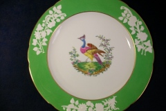 SPODE CHELSEA  BIRD GREEN R4689 SCALLOPED- DINNER PLATE  #1   .....         https://www.jaapiesfinechinastore.com