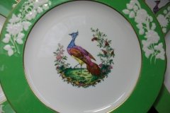 SPODE CHELSEA  BIRD GREEN R4689 SCALLOPED- DINNER PLATE  #2   .....         http://jaapiesfinechinastore.com