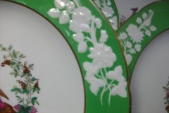SPODE CHELSEA  BIRD GREEN R4689 SCALLOPED- DINNER PLATE  #2   .....         http://jaapiesfinechinastore.com
