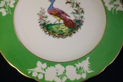 SPODE CHELSEA  BIRD GREEN R4689 SCALLOPED- DINNER PLATE  #2   .....         http://jaapiesfinechinastore.com